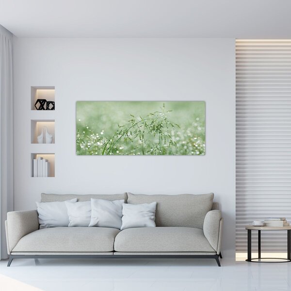 Tablou - Roua dimineții pe firele de iarbă (120x50 cm)