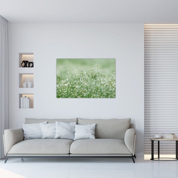 Tablou - Roua dimineții pe firele de iarbă (90x60 cm)