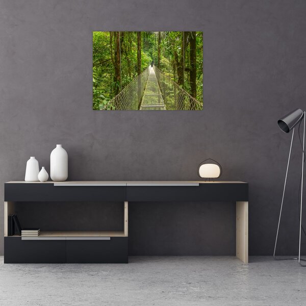 Tablou - Pod suspendat (70x50 cm)