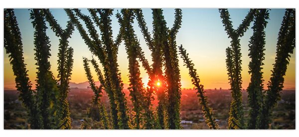 Tablou - Plante (120x50 cm)