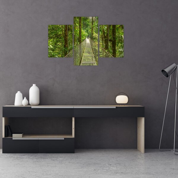 Tablou - Pod suspendat (90x60 cm)