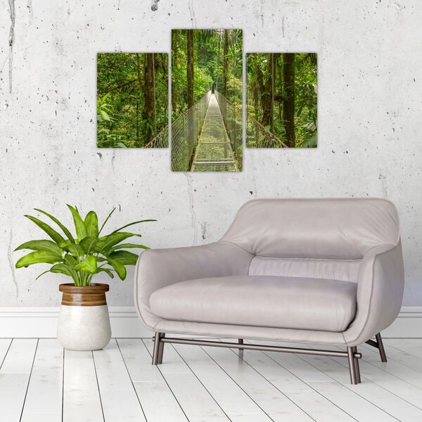 Tablou - Pod suspendat (90x60 cm)