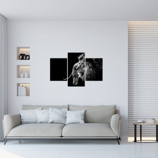 Tablou - Leu, alb și negru (90x60 cm)