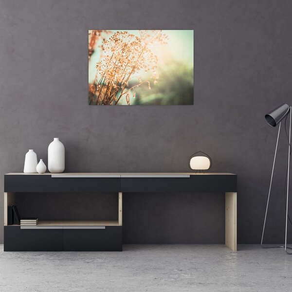 Tablou - Plante de luncă (70x50 cm)