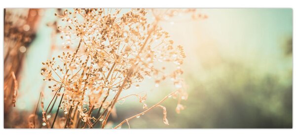 Tablou - Plante de luncă (120x50 cm)