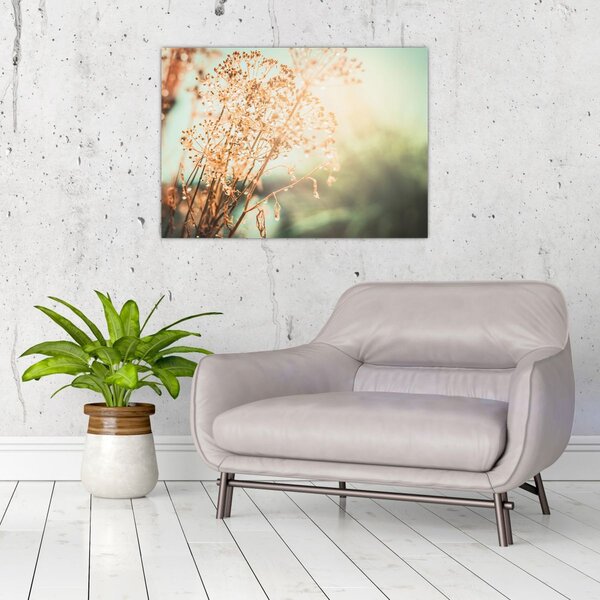 Tablou - Plante de luncă (70x50 cm)