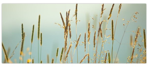 Tablou - Luncă (120x50 cm)
