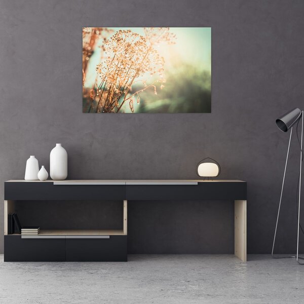 Tablou - Plante de luncă (90x60 cm)