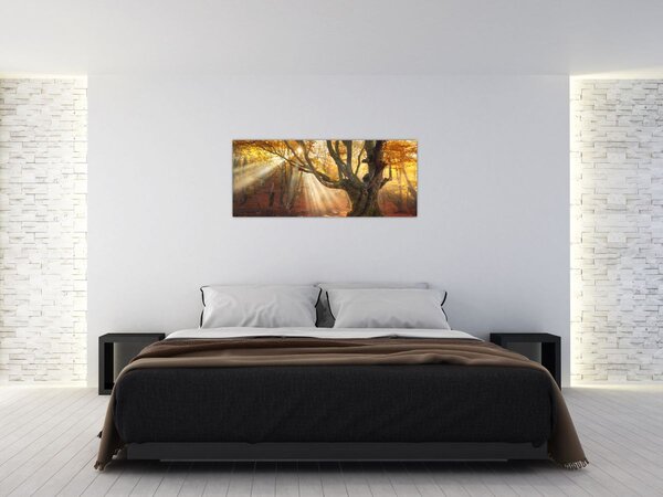 Tablou - Lumina de toamnă (120x50 cm)