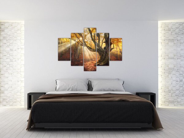 Tablou - Lumina de toamnă (150x105 cm)