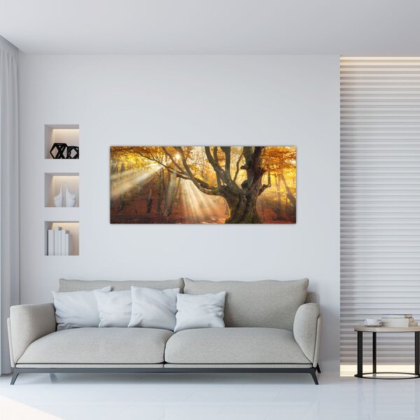 Tablou - Lumina de toamnă (120x50 cm)