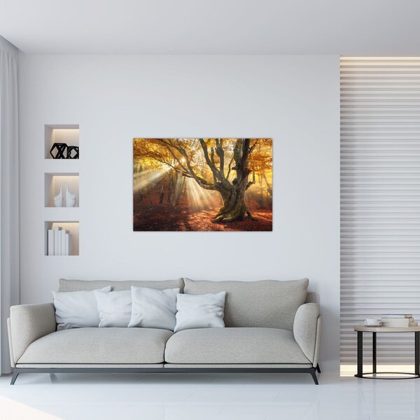Tablou - Lumina de toamnă (90x60 cm)