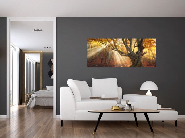 Tablou - Lumina de toamnă (120x50 cm)