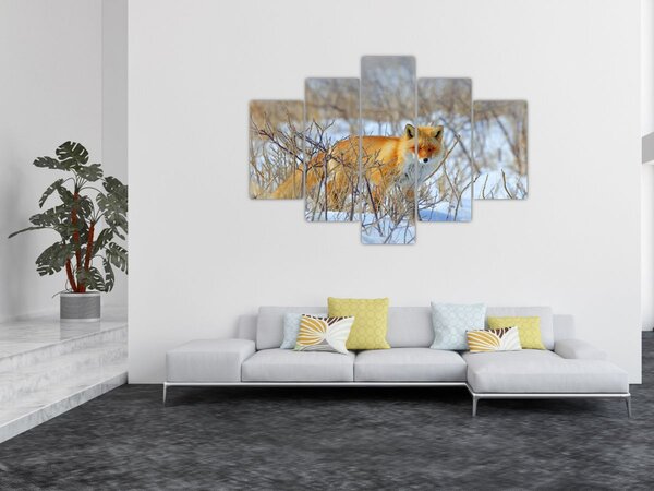 Tablou - Vulpe (150x105 cm)