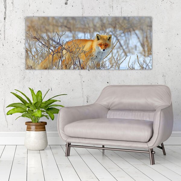 Tablou - Vulpe (120x50 cm)