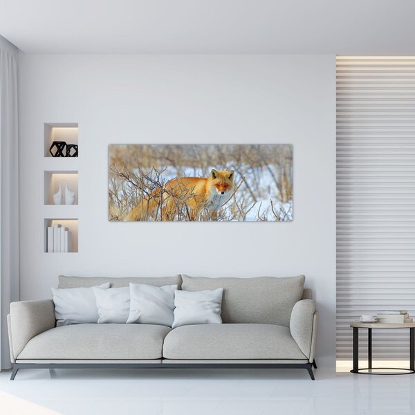 Tablou - Vulpe (120x50 cm)