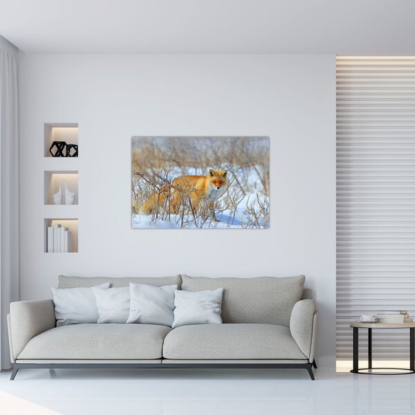 Tablou - Vulpe (90x60 cm)