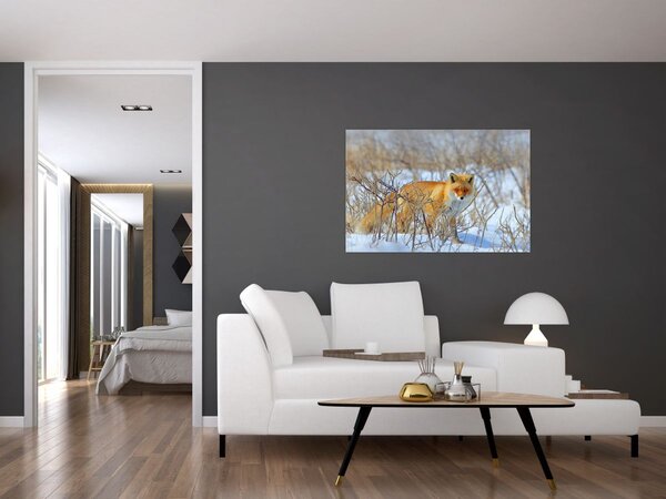 Tablou - Vulpe (90x60 cm)