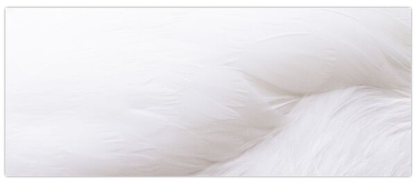 Tablou - Pană albă (120x50 cm)
