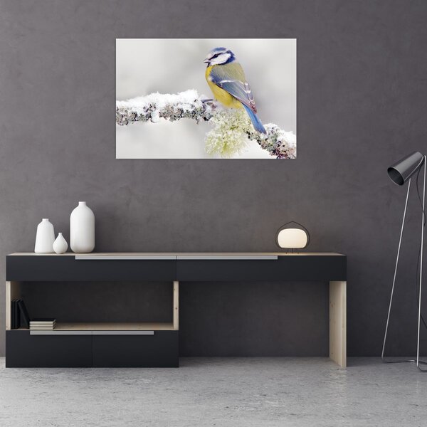 Tablou - Tit albastru în pădure (90x60 cm)