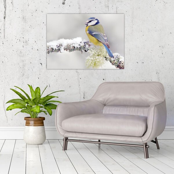 Tablou - Tit albastru în pădure (70x50 cm)