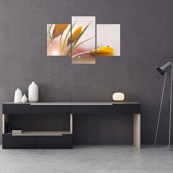 Tablou - Flori de primăvară (90x60 cm)