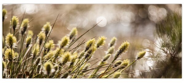 Tablou - Verde (120x50 cm)