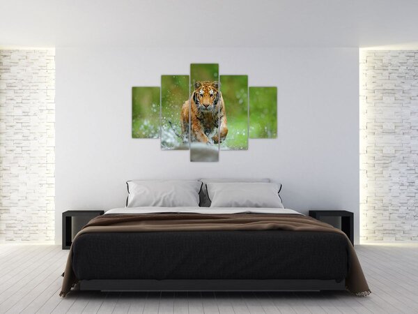Tablou - Tigru care aleargă (150x105 cm)