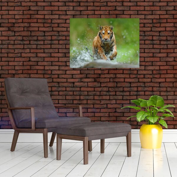 Tablou - Tigru care aleargă (70x50 cm)