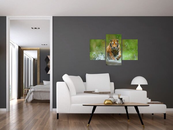Tablou - Tigru care aleargă (90x60 cm)