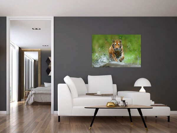 Tablou - Tigru care aleargă (90x60 cm)