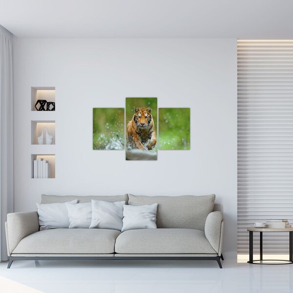 Tablou - Tigru care aleargă (90x60 cm)