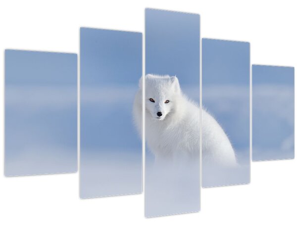 Tablou - Vulpe polară (150x105 cm)