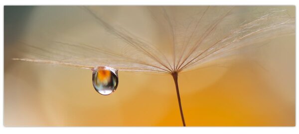 Tablou - Flori macro (120x50 cm)