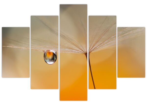 Tablou - Flori macro (150x105 cm)