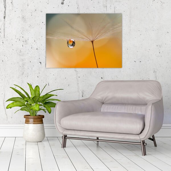 Tablou - Flori macro (70x50 cm)