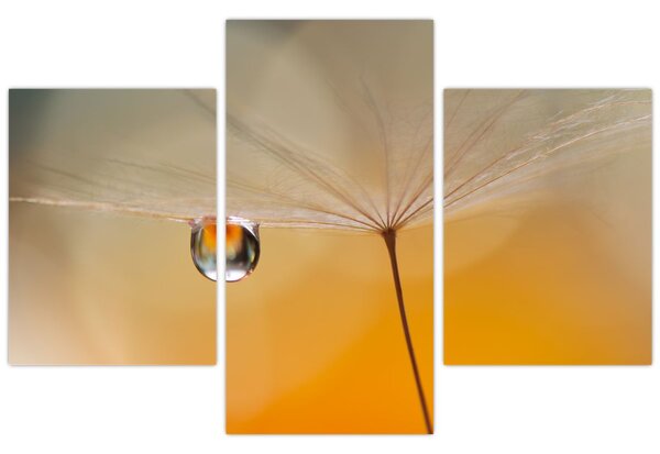 Tablou - Flori macro (90x60 cm)