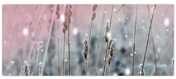 Tablou - Moment (120x50 cm)
