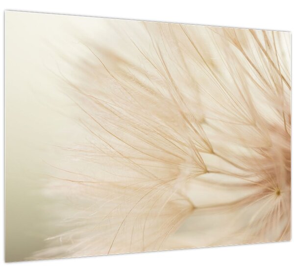 Tablou - Detaliu flori (70x50 cm)