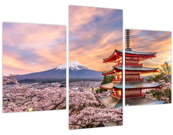 Tablou - Fuji,Japonia (90x60 cm)