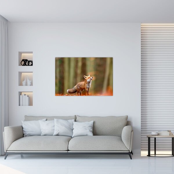 Tablou - Vulpe (90x60 cm)