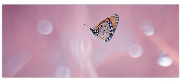 Tablou - Fluture (120x50 cm)