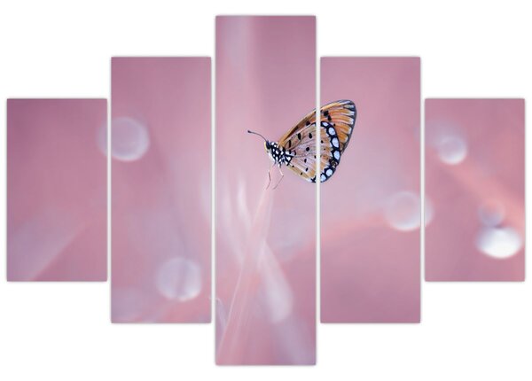 Tablou - Fluture (150x105 cm)