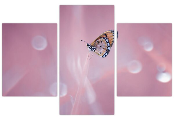Tablou - Fluture (90x60 cm)