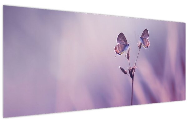 Tablou - Fluturi mov (120x50 cm)