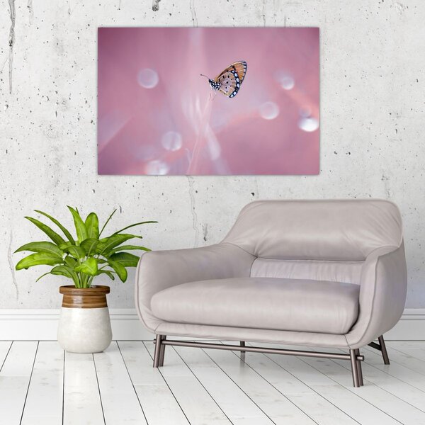 Tablou - Fluture (90x60 cm)