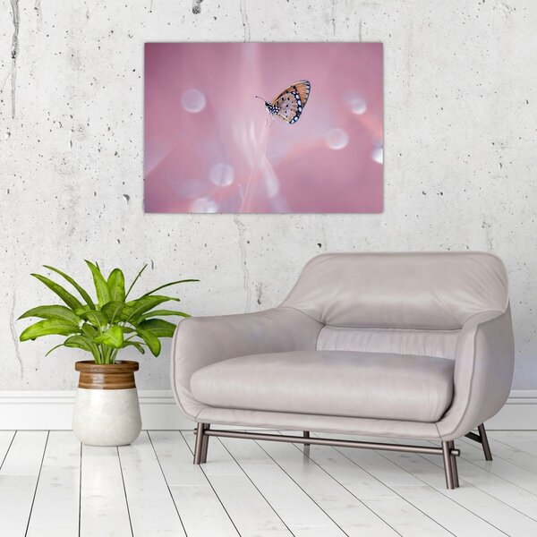 Tablou - Fluture (70x50 cm)