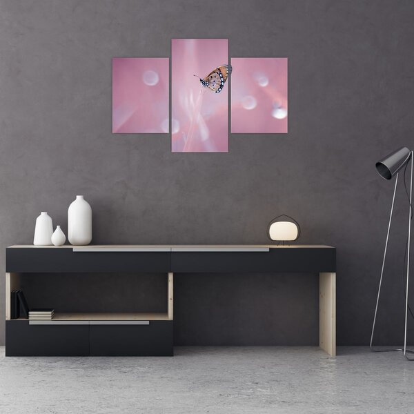 Tablou - Fluture (90x60 cm)