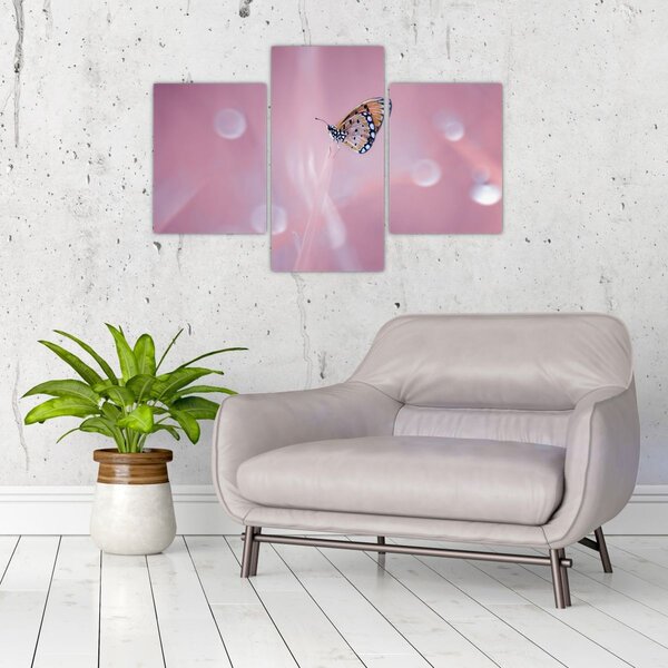 Tablou - Fluture (90x60 cm)