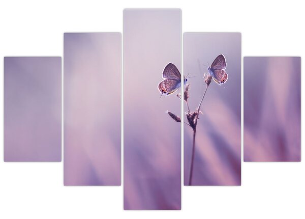 Tablou - Fluturi mov (150x105 cm)